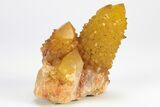 Sunshine Cactus Quartz Crystal Cluster - South Africa #212646-1